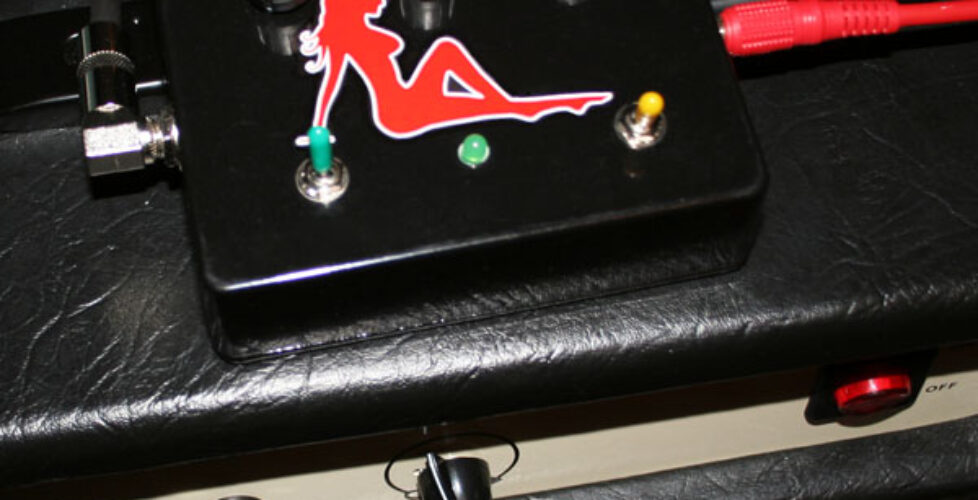 Noisy Cricket Amp